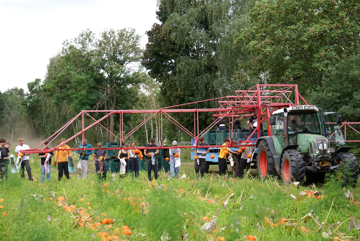 Der Abi-Jahrgang 2027 an der roten Erntekette auf dem Kürbisfeld